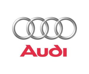 LOGO-dummy