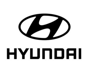 LOGO-dummy