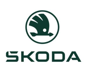 LOGO-dummy